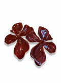 Burgundy Bloom Earrings