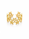 Cosmic Ring